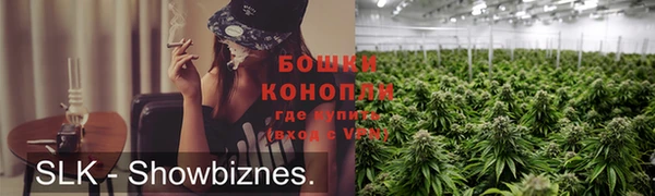 индика Богданович