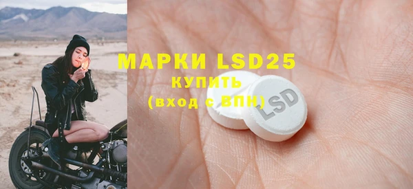 индика Богданович