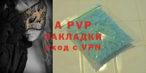 индика Богданович