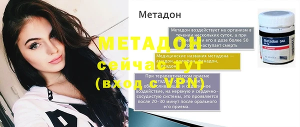 прущие грибы Рославль