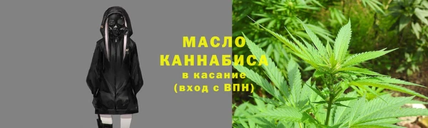 индика Богданович