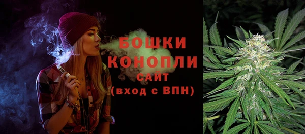 индика Богданович