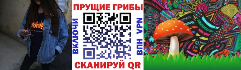 где купить   Неман  Галлюциногенные грибы мицелий 